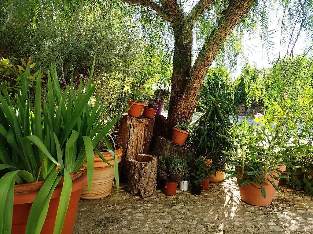 Casa Con Encanto En Alajar Spain