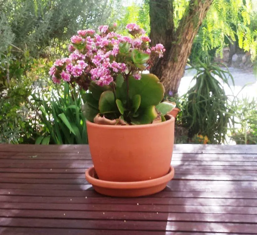 Country house Casa Con Encanto En Alajar